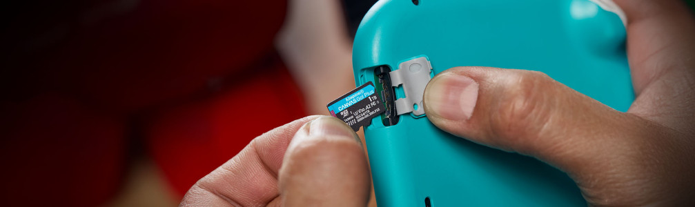 TARJETA DE MEMORIA MICROSD KINGSTON CANVAS GO PLUS 1TBGB (SDCG4/1TB)