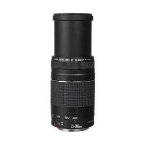 Lente Canon Ef-s 75-300mm F/5.6 Aumento Máximo 0,25x