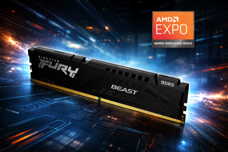 MEMORIA KINGSTON FURY BEAST EXPO AMD 16GB DDR5 5600MTS (KF556C36BBE-16)