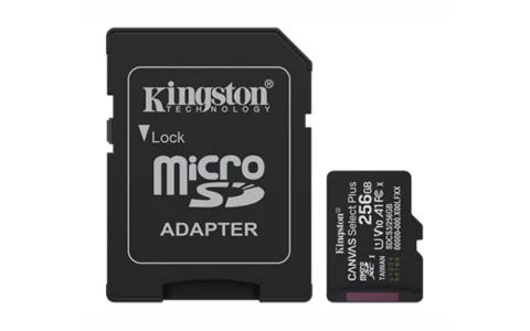 Memoria MicroSD Kingston Select Plus 256GB clase 10