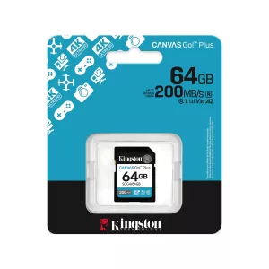 SD 256GB CANVAS GO PLUS G4