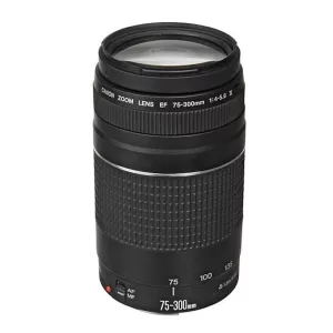 Lente Canon Ef-s 75-300mm F/5.6 Aumento Máximo 0,25x