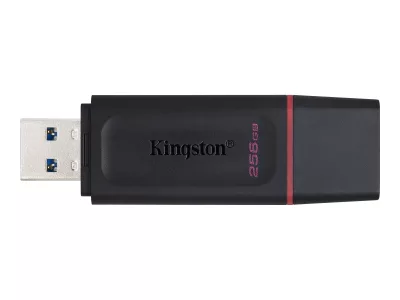 Kingston DataTraveler Exodia - Unidad flash USB - 256 GB - USB 3.2 Gen 1 - negro/rosa