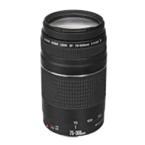 Lente Canon Ef-s 75-300mm F/5.6 Aumento Máximo 0,25x