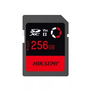 MEMORIA SD CAPTURE 256Gb