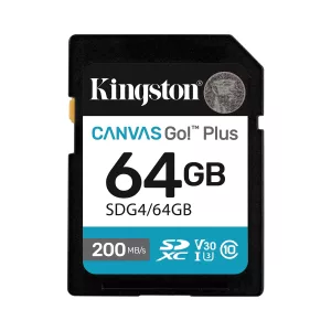 SD 256GB CANVAS GO PLUS G4