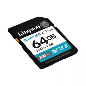 SD 256GB CANVAS GO PLUS G4