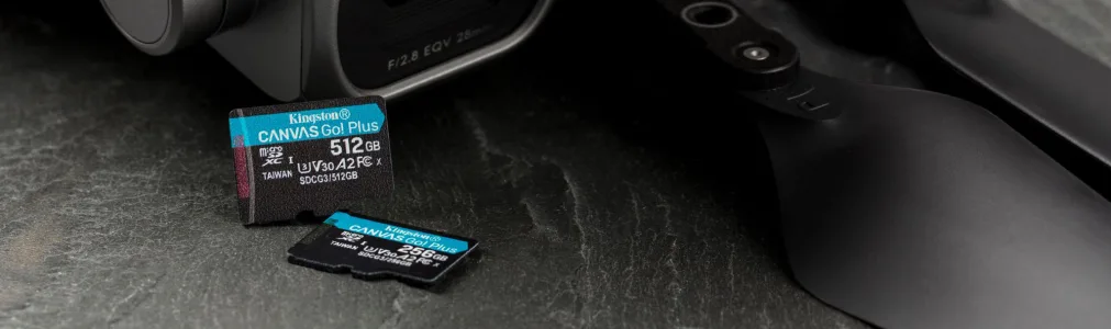 TARJETA DE MEMORIA KINGSTON MICROSD CANVAS GO PLUS 1TB 