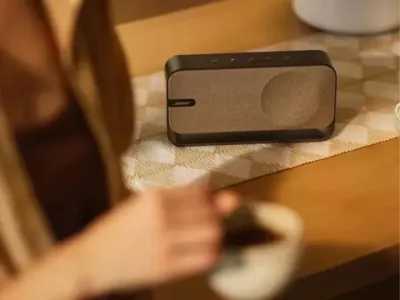 PARLANTE BOSE SOUNDLINK HOME BLUETOOTH PORTÁTIL – WARM WOOD