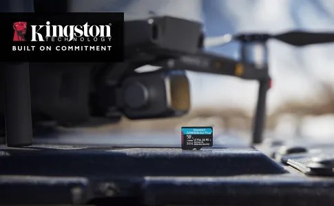 TARJETA DE MEMORIA KINGSTON MICROSD CANVAS GO PLUS 256GB 