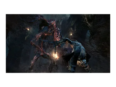 PS4 BLOODBORNE_HITS