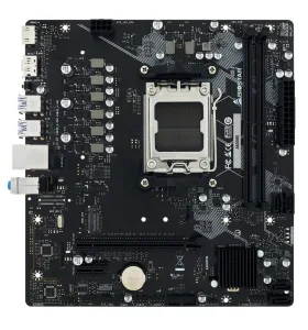 Mother Biostar A620MS AM5