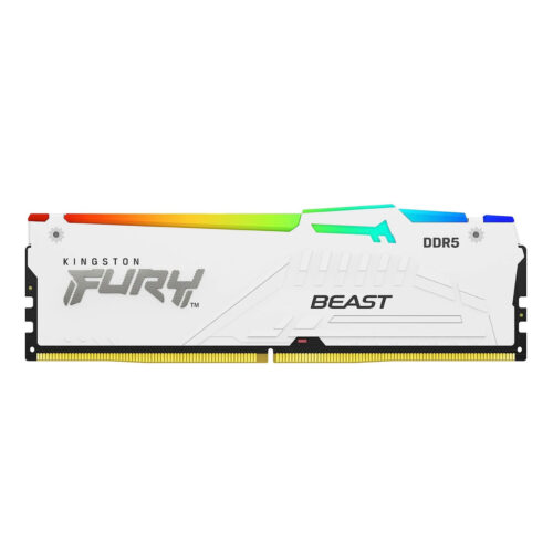 fury ddr5 white rgb 2.jpg mmsoft informatica