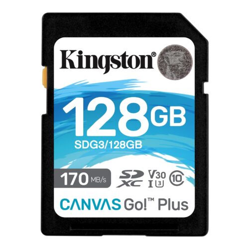 CANVASGO1 mmsoft informatica